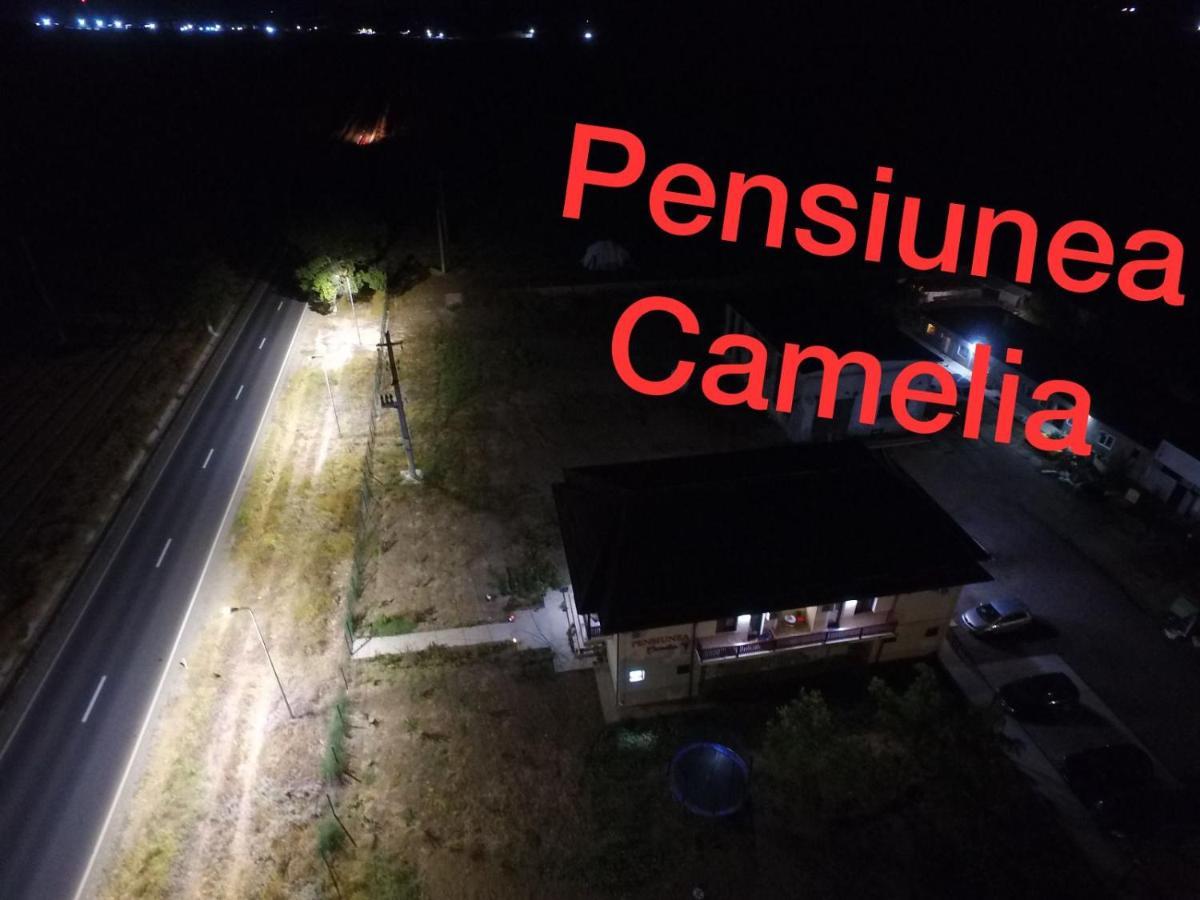 Gasthof Pensiunea Camelia *